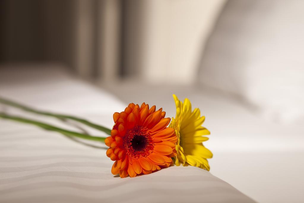 Dahlia Inn Praha Eksteriør bilde