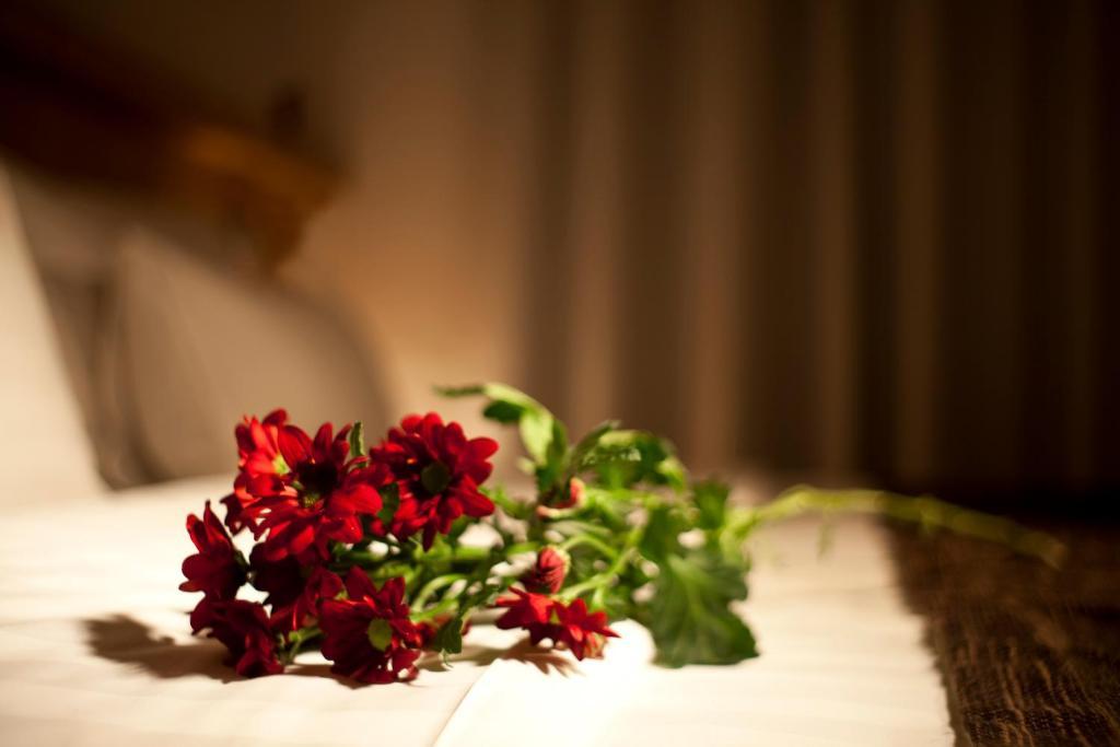 Dahlia Inn Praha Rom bilde