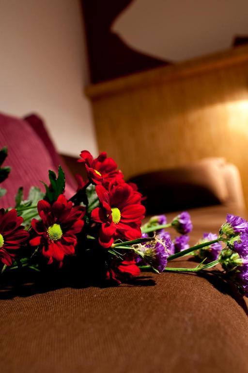 Dahlia Inn Praha Rom bilde